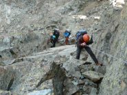 Teddy in doppia nella placca