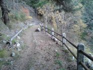 particolare del sentiero 6 in discesa