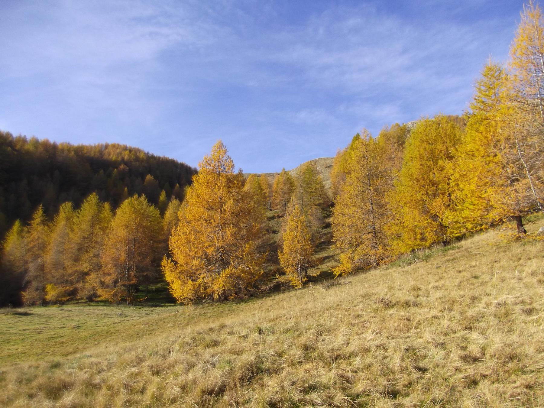 il vallone verso Cima Ventosa