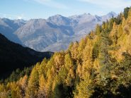 Magici colori d'autunno