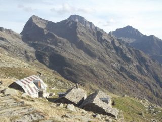 Alpe Testanera -Corno Mud,Taglaferro e Punta Carnera-