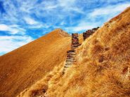 La cima dalla Bocchetta di Stavello