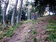 il bosco nel vallone palla