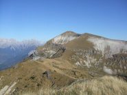 Pavione dalla vetta 