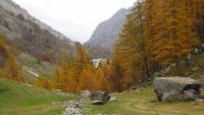 Bei colori al ritorno...