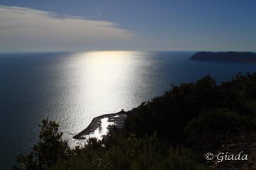 Il golfo verso alassio