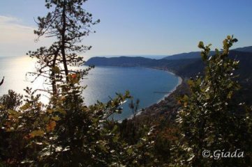 Baia del sole