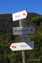 Segnaletica