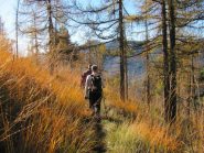 sentiero poco visibile ...