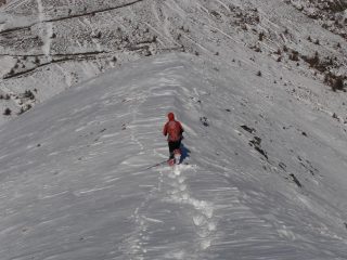 06 - seguendo le tracce della volpe verso il Colle Costa Piana