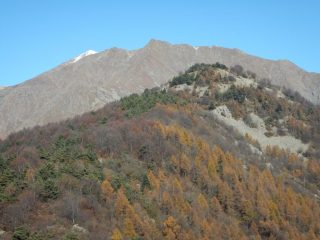 Sullo sfondo molto lontana Punta della Croce
