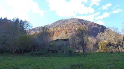 Pian Rastut
