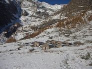 l'alpe Crosenna( agriturismo)