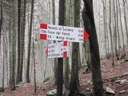 Crocevia quota 1382m