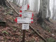 Ronchi di Luciano