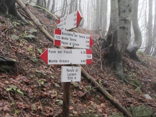 Ronchi di Luciano