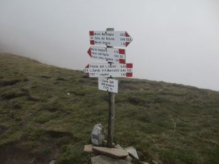 Sella 