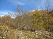 Colori autunnali poco prima del pian Ciucchea 