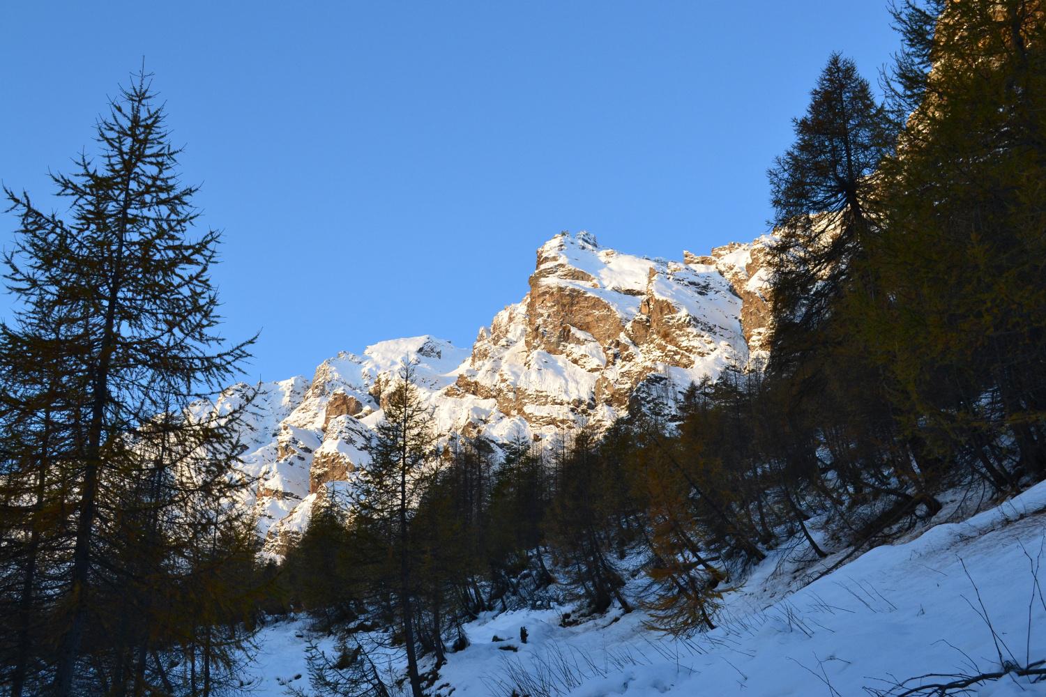 primi bei contrasti in uscita dal bosco