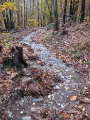 mulattiera da pont a poetti 2 