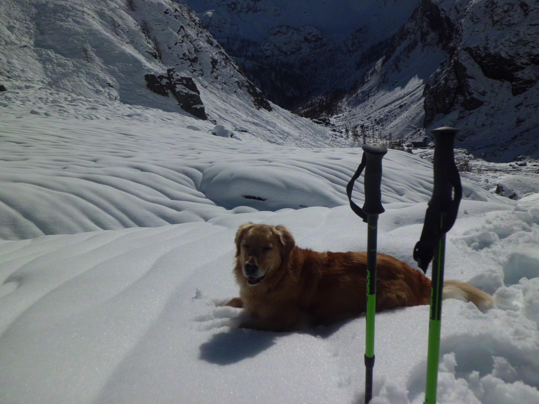 Finalmente.....neve!