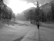 Parte iniziale nel bosco