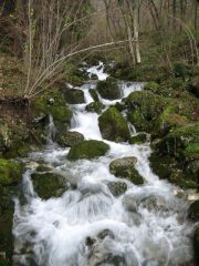 torrenti in piena