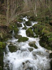 torrenti in piena