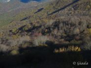 Le lunghe ombre sul bosco