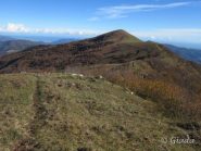 Verso il Guardiabella
