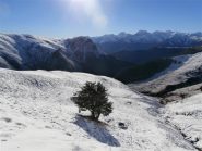 bella giornata