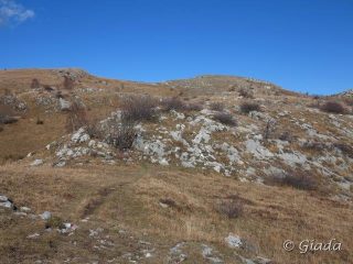 Scendendo dall'Armetta