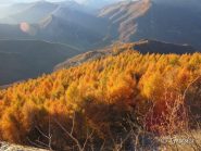 Caldi e tenui colori autunnali