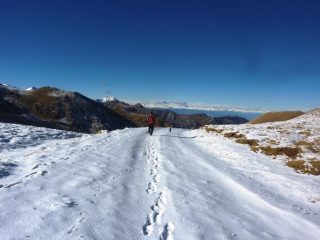 sulla via del ritorno da Colla dei Termini in fondo il Mondolè