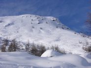 nonostante quel che appare, gli spazi intonsi erano ancora tanti