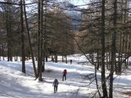 Poi la neve migliora nel bosco