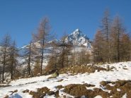 Appare il re