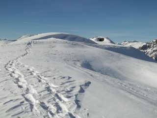 testa di mottas