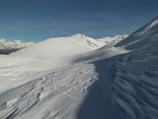 testa assietta