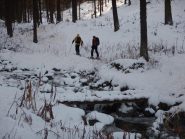 Partenza nel bosco