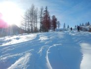 Bella giornata