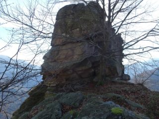 lo spuntone 1400m e il faggio Amico