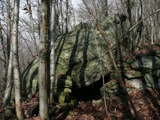 Balma nel bosco