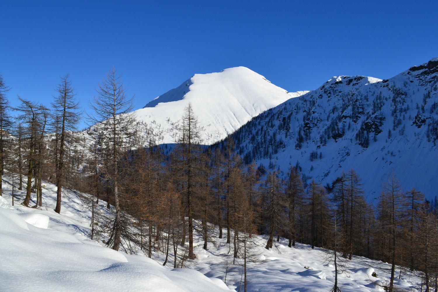 si amplia la vista verso il Pioltone