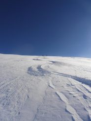 14 - giù dal Vin Vert verso nord, farina ed ancora farina... fino al fondo
