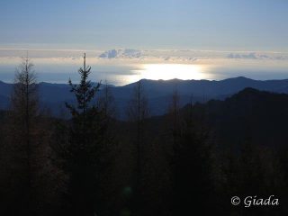 Il golfo ligure immerso nel sole