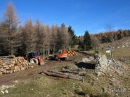 Ruspe al lavoro da tempo al colle di san Bartolomeo x taglio alberi.....
