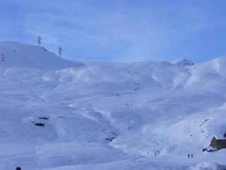 un formicaio sulla Rascias