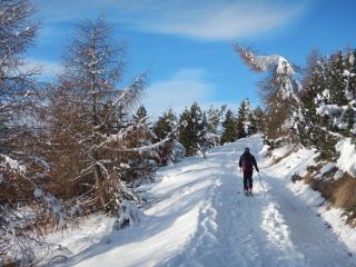 In salita sulla stradina