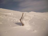 gli scherzi del vento  